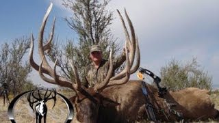 443quot and 403quot MONSTER Archery Elk Hunts Free Range  MossBack [upl. by Racso]