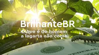 BrilhanteBR®  Inseticida  Ourofino Agrociência [upl. by Hurlee]