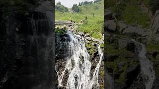 Mount Rainier Myrtle Falls youtubeshorts travel rainier [upl. by Llenod]