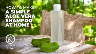 DIY SulfateFree Aloe Vera Shampoo  Gentle and Natural Hair Care [upl. by Laurene876]