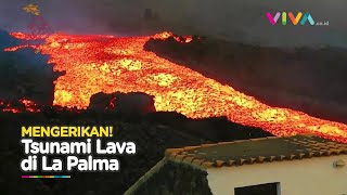 Tsunami Lava Ancam Masa Depan La Palma Suram dan Mengenaskan [upl. by Monteith908]