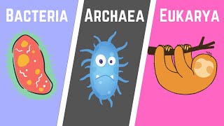 The Three Domains of Life BacteriaArchaeaEukarya [upl. by Adnohsal]