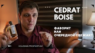 Обзор Mancera Cedrat Boise Фаворит или очередной свежак [upl. by Lehcar]