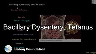 Bacillary Dysentery Tetanus Biology Lecture  Sabaqpk [upl. by Nonnek764]