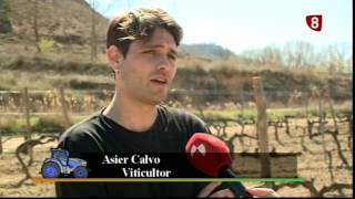 Familia de Viticultores en Gumiel de Mercado [upl. by Cirre]