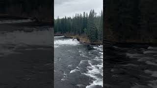 Yellowstone Cave Falls [upl. by Hentrich38]