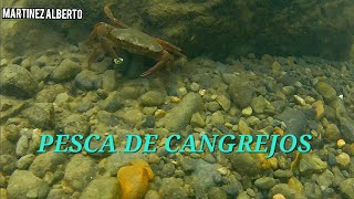 CAPTURA DE ALGUNOS CANGREJOS EN EL RIO [upl. by Sheets]