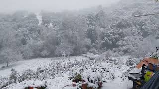 A snowy day at the Cortijo [upl. by Candice]