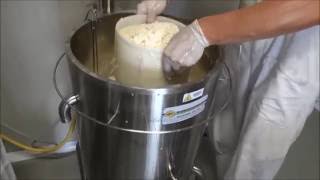 HARD CHEESE MAKING AT HOME WITH MINI PASTEURIZER [upl. by Imuy]