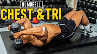 30 Minute Dumbbell Chest amp Triceps Workout No Bench  Build Muscle 2 [upl. by Ayenet822]