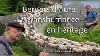 BERGERS DAURE LA TRANSHUMANCE EN HERITAGE Bande annonce du documentaire [upl. by Lebiram379]