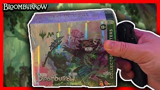 Bloomburrow Collector Box Opening [upl. by Onid]