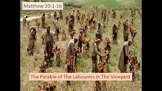 Parable of The Laborers In The Vineyard Matthew 20116 [upl. by Etteinotna]