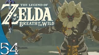 Zelda Breath Of The Wild  54  Le Lynel Du Colisée Lets Play [upl. by Jaeger]