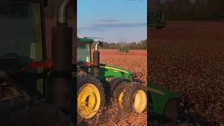 John Deere 8430 Tractor plowing cotton ground for fall tillage 2024 johndeere johndeeretractor [upl. by Rosalee]