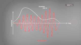 The Envelope and Fine Structure of Sound  MEDEL [upl. by Buffy259]