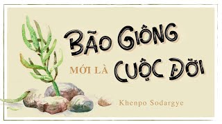 Sách nói Bão Giông Mới Là Cuộc Đời  Chương 1  Khenpo Sodargye [upl. by Annwahs]