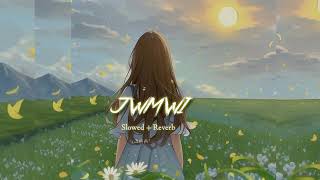 JWMWI  new Bodo ❤️ Slowed  Reverb 🎧 Song 🍂 jwmwi [upl. by Farrell]