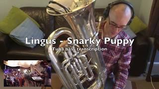 Lingus Snarky Puppy  Tuba Bass Cover [upl. by Amalita]