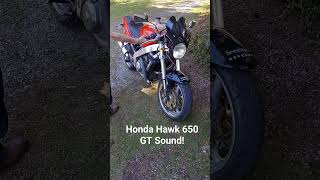 Honda Hawk GT 650 sound hondamotorcycles hondahawk hondahawkgt hawk650 motorcycleshorts [upl. by Laehcar]