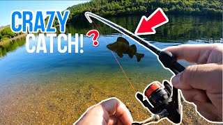 CRAZY ONE IN A MILION CATCH WHILE PERCH FISHING Lake District Lure Fishing [upl. by Ocisnarf]