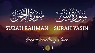 Surah Ar Rahman  Beautiful Urdu Translation  By Mohamed Elfakeh  Shamshad Quranic Channel [upl. by Reiners348]