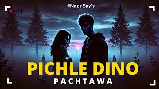 Pichle Dino Ka Pachtawa  sad Audio Song  Nazir Says [upl. by Troxell]