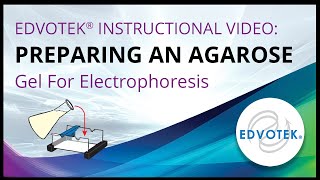 Preparing an Agarose Gel For Electrophoresis  Edvotek Video Tutorial [upl. by Biddie]