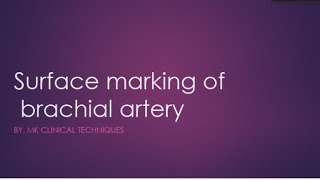 brachial artery surface markingsurface anatomy of brachial artery [upl. by Clerc]