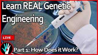 LIVE Learn Genetic Engineering  Part 1 How does it work [upl. by Matt]