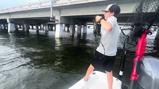 Netting Greenbacks amp Grunts JohnnyNS Takes on the Skyway Bridge [upl. by Hillel551]