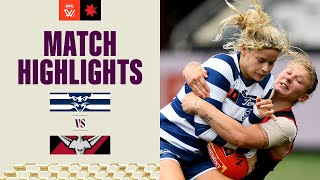 Geelong v Essendon Highlights  2023 NAB AFLW Finals [upl. by Fawne]