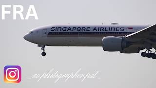 Planespotting FRAnkfurt Airport Heavy Arrivals 07R  Boeing 787  Airbus A340 [upl. by Macguiness]