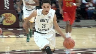 Chris Chiozza Florida Bound Senior Mixtape [upl. by Nalyt]