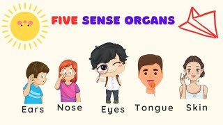 Five Sense Organs for kids  The five senses song [upl. by Ydeh]