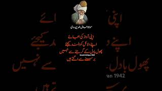 Maulana Jalaluddin Rumi  Urdu quotes about life lesson inspirationalquotes viral quotes [upl. by Hnid202]