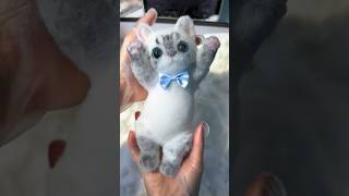 Cats Sticky Toy Cast In Foam shortsvideo [upl. by Woods]