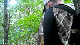 wisconsin bear hunting 2011 [upl. by Leissam837]