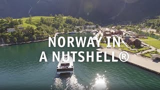 Norway in a nutshell ®  popular day trip from Bergen [upl. by Annavas]