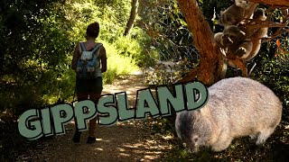 Wildlife Search  Gippsland Coast VIC [upl. by Pulling]