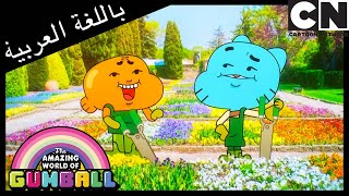 نصائح جمالية  غامبول  كرتون نتورك [upl. by Tu6]