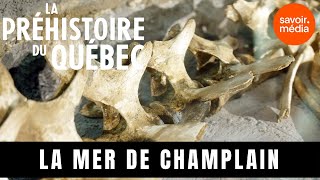 La mer de Champlain  La préhistoire du Québec [upl. by Henley]