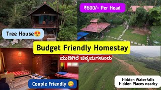 Budget Friendly Homestay In Mudigere  Rainy Hut Homestay😍Couple Friendly🤩Mr350 [upl. by Moria628]