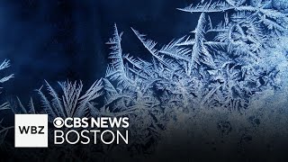 Talk climate change the frosty forecast and this weeks meteor shower with Boston meteorologists [upl. by Annabell995]