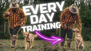 3 Dog Training Tips You Should Do Every Day With Your Dog [upl. by Klingel]