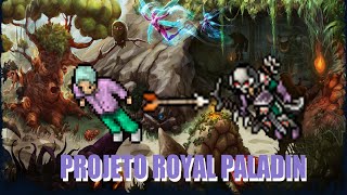 Tibia  Projeto RP do Zero 13  Caçando Dark Faun em Feyrist e Insetos em Gray Island [upl. by Ellehsat]