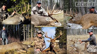 Trophy Whitetail Deer Hunting with AWGS in Alberta Canada  6 for 6 [upl. by Yelac]