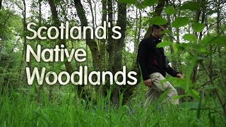 Scotlands Native Woodlands [upl. by Odnomar]