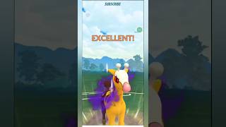 Shadow Girafarig Destroy 😧🤯 Opponent Team Ft Lueroi453gobattleleague [upl. by Platon39]