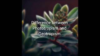 Phototropism and Geotropism in plants ☘️ chemicalcoordination phototropism geotropism [upl. by Dani]